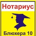 Нотариус Челябинска (351) 261-80-88 Блюхера 10